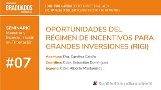 07 OPORTUNIDADES DEL RÉGIMEN DE INCENTIVOS PARA GRANDES INVERSIONES RIGI  Económicas UBA [upl. by Kubetz]