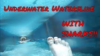 POV Shark Attack waterslide at Aquaventure Atlantis Dubai POV waterslide Fish Tank [upl. by Anelac]