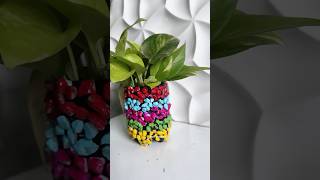 Easy DIY Planter Using Waste Plastic Bottle diy planter bestoutofwaste viralshort [upl. by Suoivatram]