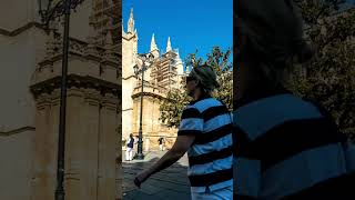 Seville Spain City Tour 2024  Travel Videos youtubeshorts [upl. by Ettennat879]