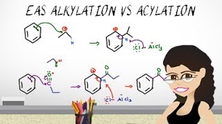 EAS Friedel Crafts Alkylation vs Acylation EAS vid 8 by Leah Fisch [upl. by Xyla]