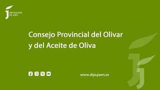 Rueda de prensa previa a la celebración del Consejo Provincial del Olivar y del Aceite de Oliva [upl. by Ettesel]