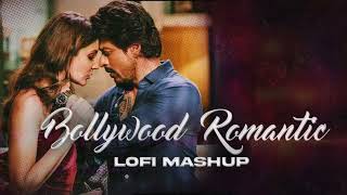 Bollywood  Romantic  Love Song  Lofi Mashup Jukebox 2024 [upl. by Naitirb981]