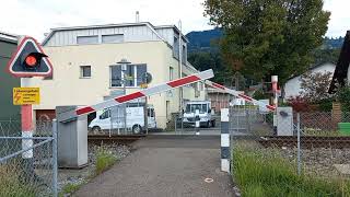 Bahnübergang Freienbach CH  Swiss Railroad Crossing [upl. by Fugazy191]