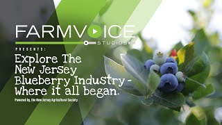 Explore the NJ Blueberry Industry  Where it all Began [upl. by Airetnahs]