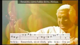 Benedicto XVI  Regina Coeli [upl. by Malinda188]