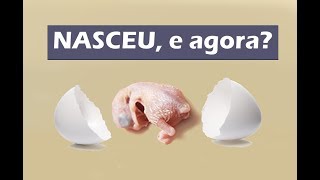 Os primeiros cuidados com o recém nascido [upl. by Anerb715]