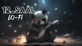 12Saal  Bilal Saeed  full song  SlowedReverb Lofi song [upl. by Ahsilad]