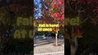 Fall at UNCG🧡✨ uncg fall leaves [upl. by Barbarese]