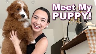 Meet My PUPPY with Veronica [upl. by Ciro873]