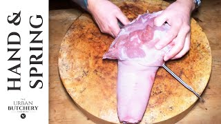 Hand and Spring of Pork Joint Butchery [upl. by Enitsugua]