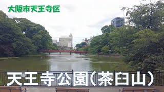 2024年6月撮影 天王寺公園・茶臼山（Tennoji Park and Chausuyama） [upl. by Meihar837]