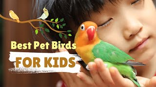 6 Best Pet Birds For Kids [upl. by Berger378]