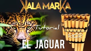 El Jaguar  Kalamarka □ Para ZAMPOÑA [upl. by Notwal774]