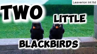 Two Little Blackbirds [upl. by Orodoet]