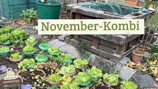 Gartenarbeiten amp Rundgang im November [upl. by Sib]