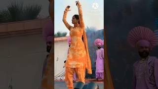 Punjabi Bhangra Performance 2024 Best Dj Punjab dance by Panjabi dance performance videos 2024 [upl. by Normandy]