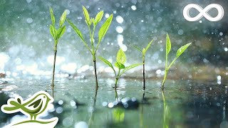 Relaxing Piano Music amp Soft Rain Sounds • Background Sleep Music  Raindrops Extended [upl. by Phonsa]