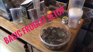 My Froglet Setup  Poison Dart Frogs [upl. by Toby976]