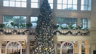 The Peninsula Manila holds an early Christmas Tree Lighting [upl. by Devondra]