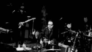 Elvis Costello  Sneaky Feelings Live [upl. by Chien]