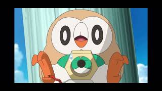 Rowlet is the goat [upl. by Guenevere]