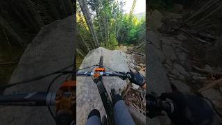 Love this trail Pro lines galore Have you watched the full video on my channel mountainbike [upl. by Goer61]