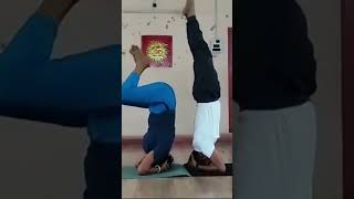 Shirshasana practice time youtubeshorts yogaasana motivation yogaposition [upl. by Dyraj]