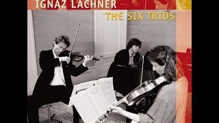 Ignaz Lachner 18071895 The Six Trios for Violin Viola amp Piano  Trio in BFlat Major Op 37 [upl. by Eelasor]