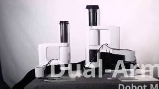 Dual Arm Operation w Dobot M1 Professional Robotic Arm Dobotarm [upl. by Eelyah544]