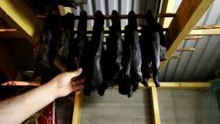 How to dry Whale Meat Viking Style [upl. by Aerdnak449]