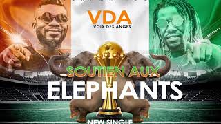 VDA SOUTIEN AUX ÉLÉPHANTS [upl. by Aramat406]