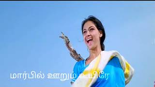 Deivam Thantha Poove  Kannathil Muthamittal Movie  Lyrics [upl. by Nairb]