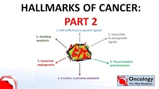 5 Hallmarks of cancer part 2 [upl. by Bluh]