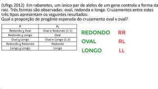 Exercício sobre ausência de dominância  prof Leandro Costa [upl. by Clim534]