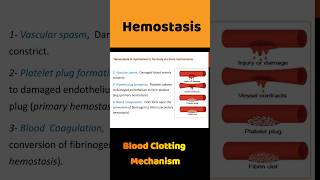 Blood Clotting  Blood Coagulation  hemostasis bloodclotting shortsfeed [upl. by Ayotna]