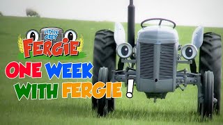 A Week with Fergie  Monday to Sunday  Film  Little Grey Fergie  Gråtass [upl. by Einalam]