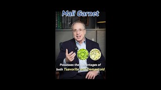 Mali Garnet possesses the Advantages of both Tsavorite and Demantoid [upl. by Schrick]