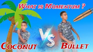 What is Momentum   Basic physics  Easy explanation of Momentum in physics [upl. by Ailisec]