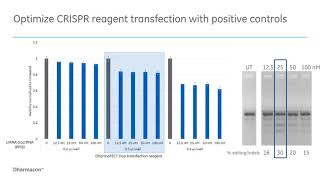 A virtual workshop for precise HDRmediated genome engineering with CRISPRCas9 [upl. by Woodrow]