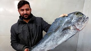 Mahi Mahi Fillet  How to cut mahi mahi Easy to do Dorado [upl. by Able]