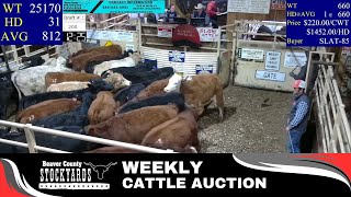 1122024  Beaver County Stockyards Livestock Auction [upl. by Bouzoun]