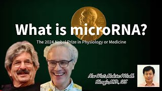 The 2024 Nobel Prize in Physiology or Medicine  What is microRNA [upl. by Armillas418]