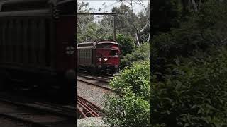 Steamrails Lilydale Shuttles 2024 [upl. by Winsor584]