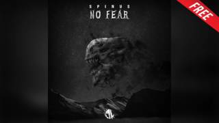 Spinus  No Fear Original Mix [upl. by Aeila]