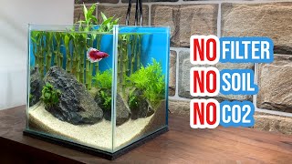 🎋 Building a Lucky Bamboo Aquarium  Betta Fish Tank Setup 🐠☘️ [upl. by Angid]