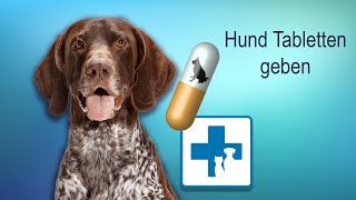 Wie gebe ich dem Hund Tabletten und Medikamente [upl. by Andree]