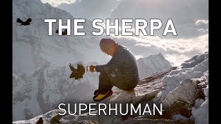 Real life Xmen Biology of the worlds greatest climbers  the Sherpa [upl. by Linders191]