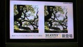 CP2011：市川ソフトラボラトリー「SILKYPIX Developer Studio Pro5」紹介 [upl. by Anai611]