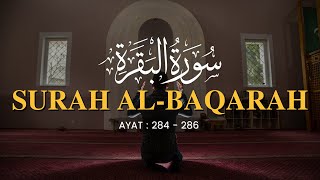 3 Ayat Terakhir Surat Al Baqarah 284286  Zain Abu Kautsar [upl. by Aikat]